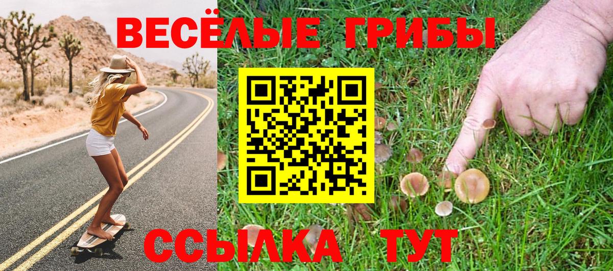 Галлюциногенные грибы прущие грибы Владикавказ